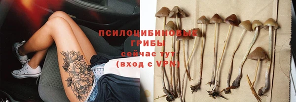 ПСИЛОЦИБИНОВЫЕ ГРИБЫ Ладушкин
