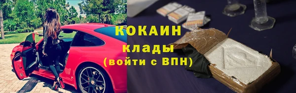 ПСИЛОЦИБИНОВЫЕ ГРИБЫ Ладушкин
