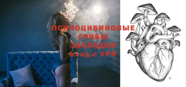 ПСИЛОЦИБИНОВЫЕ ГРИБЫ Ладушкин