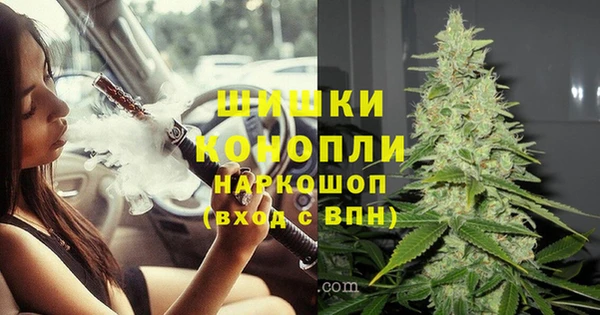 спиды Лагань