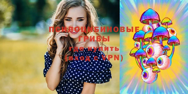 МДПВ Кукмор