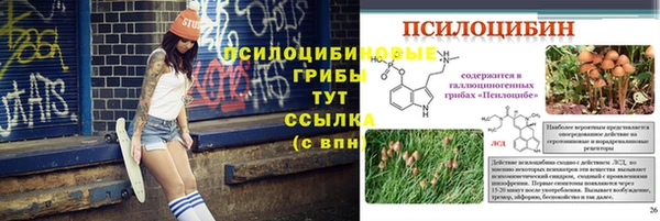 ПСИЛОЦИБИНОВЫЕ ГРИБЫ Ладушкин