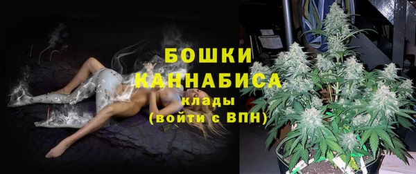 спиды Лагань