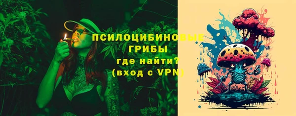 ГАЛЛЮЦИНОГЕННЫЕ ГРИБЫ Кулебаки